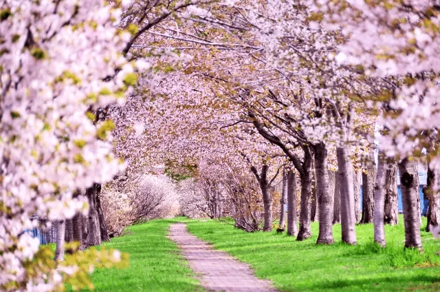 2026新年度入会キャンペーンのお知らせ